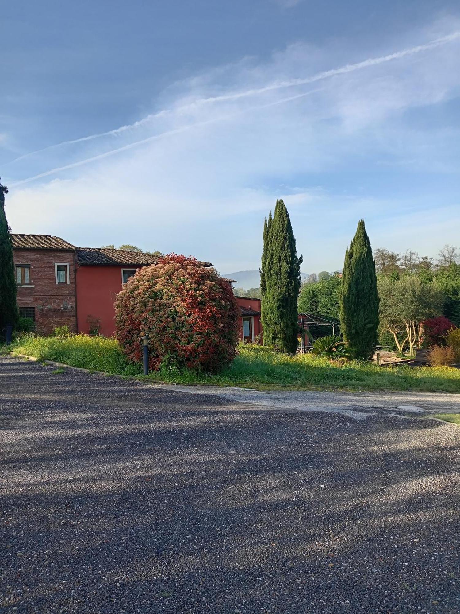 Al Sangallo Agriturismo Montecarlo Kültér fotó