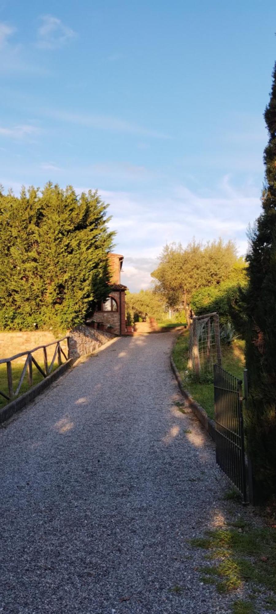 Al Sangallo Agriturismo Montecarlo Kültér fotó