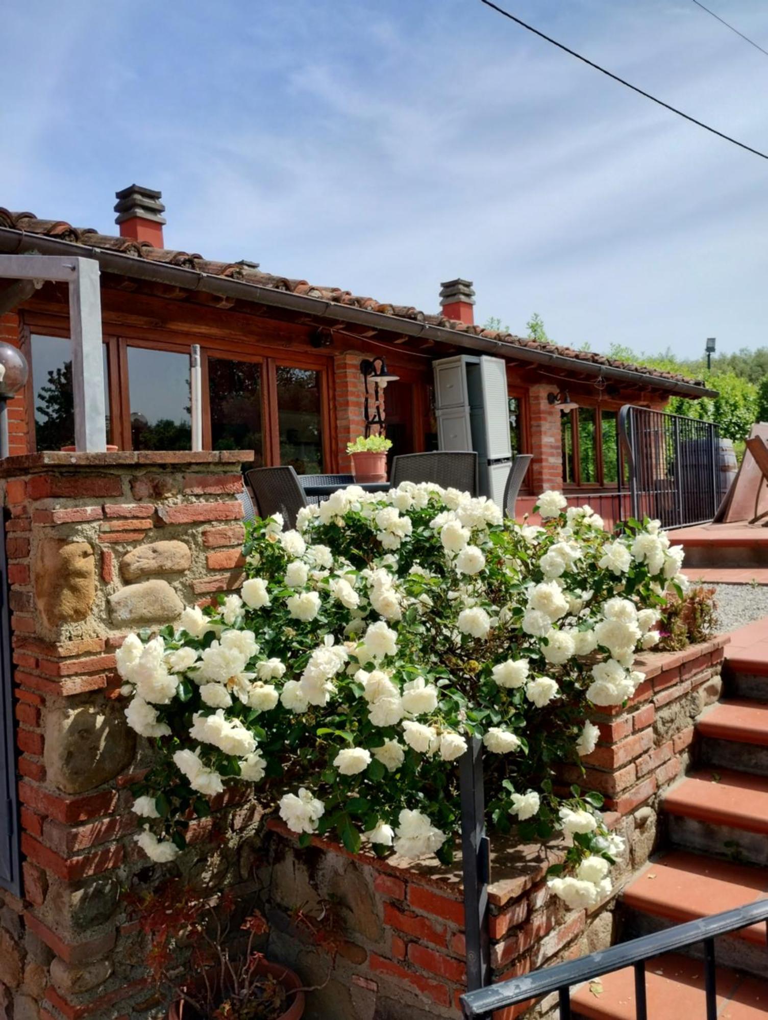 Al Sangallo Agriturismo Montecarlo Kültér fotó